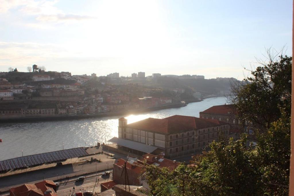 Oportobestview-Sun Dış mekan fotoğraf